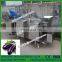 Electric vegetable and fruit washing machine for fresh fruits and vegetables