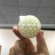 2020 Fashion 3D Printed Eco-Friendly Rubber TPU Design 3D Printing Dog Treat Toy Ball