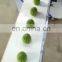 Big Scale Making Filling Chinese Stuffing Steamed Bun Machine