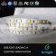 Shenzhen China 12v 24v Cold white 6500k smd 5050 led strip