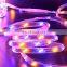multicolor outdoor waterproof application 100m per roll Led strip light 220v