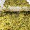 Stable Performance Organic Fruit Dried Machine / Dry Ginger Drying Machines / Dried Flower Drying Equipment