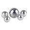 Smooth Solid Ball Bearing Steel Ball 6.35-12mm Complete Model