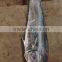 Frozen mahi mahi Whole round