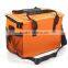 New arrival disposable cooler bag for frozen food