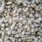 22 kw forest farm used concentrate poultry feed pellet machine
