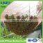 green hdpe UV fruit protection net olive net fruit net