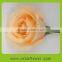 Long steam high quality fresh cut rose flowers wholesale