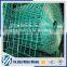 1/2 inch pvc coated welded wire mesh (factory)