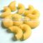 2015 Hot sale new condition macaroni food extruder