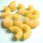 Pasta processing line, macaroni processing line, pasta making machine