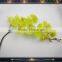 High quality latex orchid yellow phalaenopsis orchid