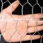 Alibaba Trade Assurance high quality hexagonal wire mesh for sale