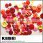 fashionable China manufacturer durable decorative round button mixed 1cm-3cm