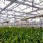 Agricultural Greenhouse Sprinkling Irrigation