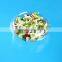 Disposable PET Salad Container