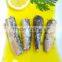 Easy open lid canned sardine in vegetable oil 125g