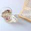 Wholesale Small High Borocilicate Glass Cup With Handle In Cheapset Price