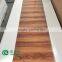 Two colors New shipment Iran High glossy hdf door skin