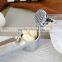 stainless steel garlic press