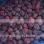 FD Dried fruits Frozen Dried FD Blackberry WHole Piece for sale