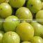 Organic Indian Gooseberries