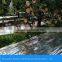 Best price high reflectivity plants covering mothproof agricultural greenhouses film