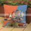 custom cartoon fancy cushion cover