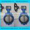 double eccentric flange di/wcb/ss turbine butterfly valve