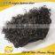 Popular Human Hair Extension Human Hair Curly Bohemian Weave Hair