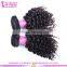 High quality peruvian hair weft tangle free shedding free wholesale pure kinky curly 14 inch peruvian hair