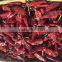 dried Chilli