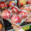 4 Compartment Plastic Compartment Boxes Food Packaging Containers Clear Plastic Paking Box