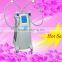 Flabby Skin 2015 Hot Sales Cryolipolysis Slimming Beauty Machine Cellulite Reduction