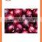 Chinese new crop product export Fresh red onion