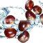 2015 new crop bulk organic fresh chestnuts for sale