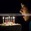 Automatic birthday candle machine