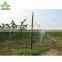 Taizhou factory agricultural bird netting wholesale