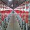 Automatic Auger Feeding System for Piggery