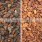 Agricultural Machines Advanced Optical Sorting Cocoa bean CCD Color Sorter