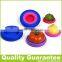 customized size silicone Fruit pan Fruit cover silicone Vegetable pan