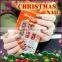 2017 New Design Christmas Fake Nails Nail Art Design