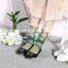 WS-9 Glitter Mesh Socks Sexy Pearl Women Socks Silk Female Transparent Meias Harajuku Funny Sox Elastic