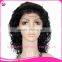 Natural Hairline Gluless Silk Top Full Lace Afro Kinky Human Hair Wig