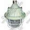 MBD53-200 Explosion-proof Luminaire