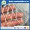 China wholesale HDPE?anti?bird?net