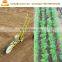 Farm onion seeder machine / onion seeds planting machine