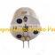 Common Rail Control Valve 7206-0379 Acutator 72060379 for Injector BEBE4C00101 Used on V OLVO 12L TRUCK D12 EURO 3 06/01