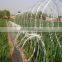 Low Price High Grade Concertina Hot Dipped Galvanized Steel Coil Razor Wire low price