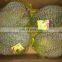 Thailand King Fruit Frozen Durian Whole (Monthong)